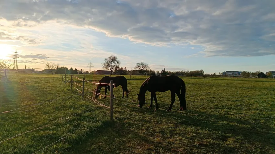 Neues Ferienprogramm 2026 – Anmeldung ab sofort möglich