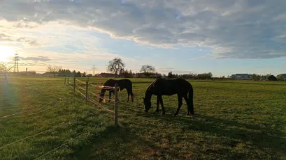 Frühjahr auf dem Hof – Mira und Anton geniessen die Weide