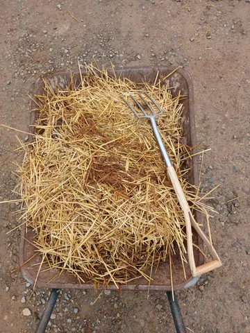 Angebote für Kinder & Familien